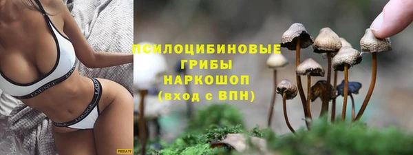 мдпв Медногорск