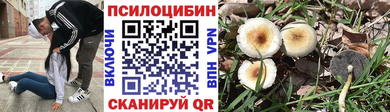 где продают наркотики Нязепетровск Псилоцибиновые грибы мицелий